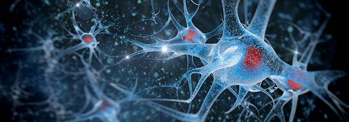 Chiropractic Loveland OH Neurofeedback Chiropractic Loveland OH Neurofeedback